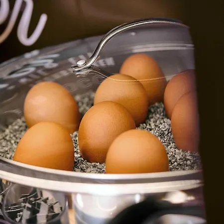 Giessen-city 3* Gießen